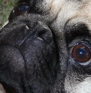 Meet your Posher, Sherry